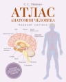 Атлас анатомии человека. Нервная система