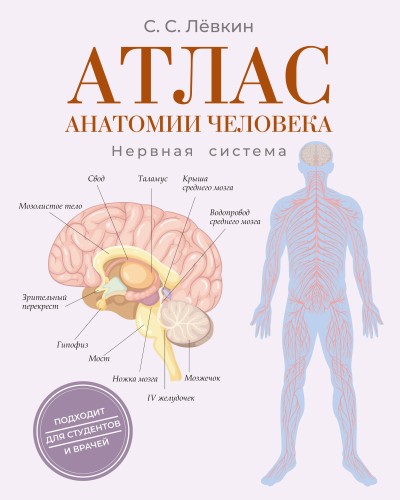 Атлас анатомии человека. Нервная система