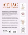 Атлас анатомии человека. Нервная система