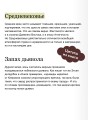 Демонология и охота на ведьм. Средневековые гримуары, шабаши и бесовские жонки
