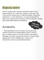 Скорбь сатаны. Вечные истории. Young Adult