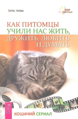 Как питомцы учили нас жить, дружить, любить и думать. Кошачий сериал