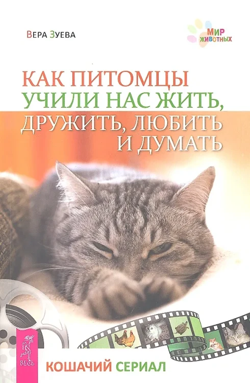 Как питомцы учили нас жить, дружить, любить и думать. Кошачий сериал