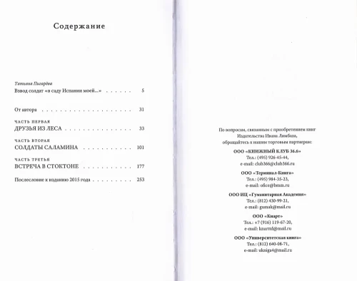Солдаты Саламина