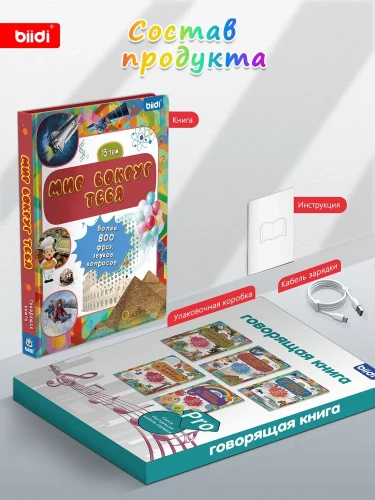 Интерактивная говорящая музыкальная книга для малышей, biidi
