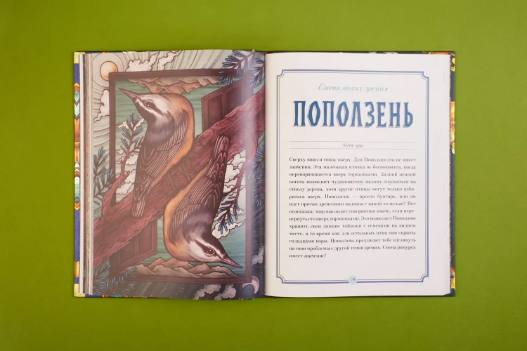 Магический бестиарий. Вдохновляющие послания и ритуалы от 36 волшебных животных (книга-оракул и 36 карт для гадания)