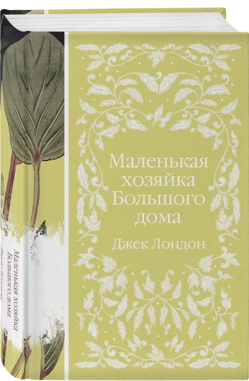 Набор "Нежный вьюнок" (из 5-ти романов: "Эмма", "Джейн Эйр", "Вдали от обезумевшей толпы", "Маленькая хозяйка Большого дома", "Грозовой перевал")