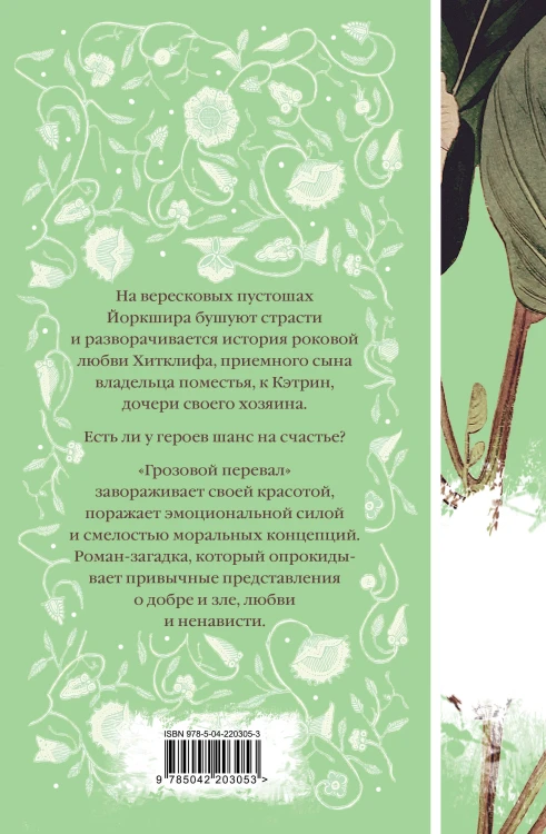 Набор "Нежный вьюнок" (из 5-ти романов: "Эмма", "Джейн Эйр", "Вдали от обезумевшей толпы", "Маленькая хозяйка Большого дома", "Грозовой перевал")