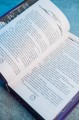 Академия 505. Циклы Ремали