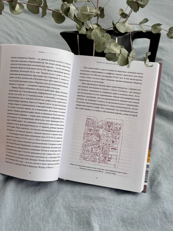 Мифы майя. От жертвоприношений и священного какао до книги «Пополь-Вух» и подземного царства Шибальбы