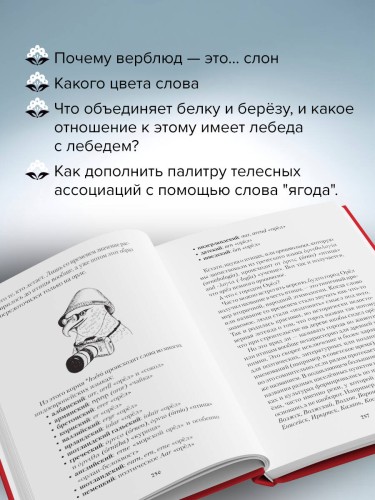 Зри в корень! Из чего "растут" слова, или Как верблюд оказался слоном, а букет — лесом?