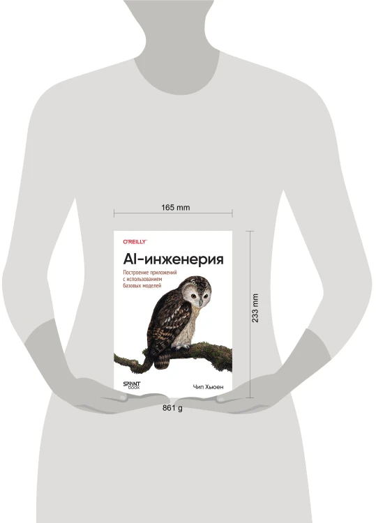 AI-инженерия. Построение приложений с использованием базовых моделей