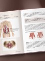 Йогатерапия для женщин. Практики для здоровья мышц тазового дна, эстетичного тела, эмоционального и гормонального баланса
