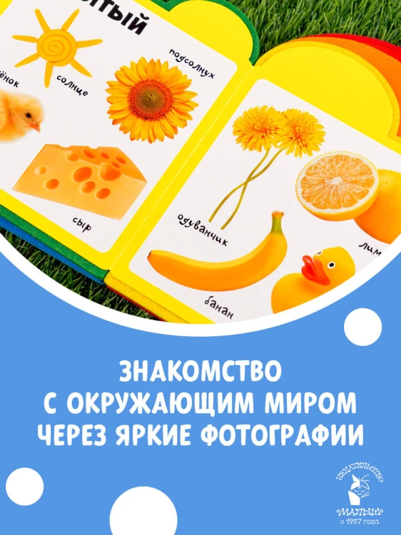 Цвета