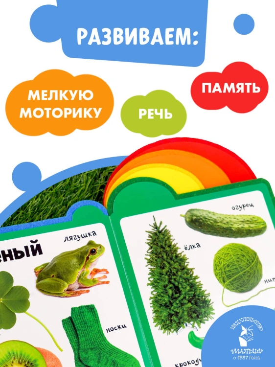 Цвета