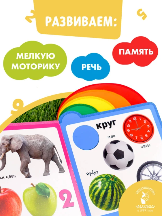Цифры