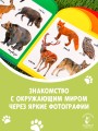 Животные