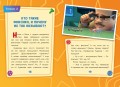 Фиксики. Путеводитель по вселенной