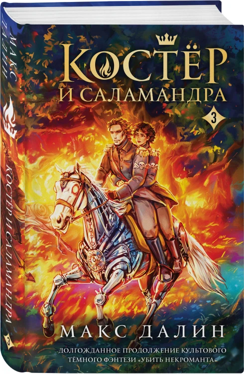 Костер и Саламандра. Книга 3