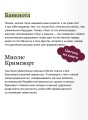 Учитель. Вечные истории