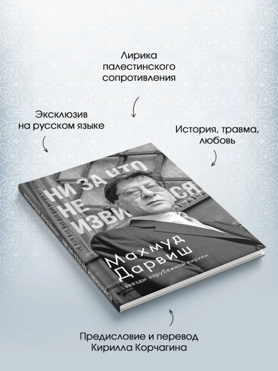 Ни за что не извиняйся