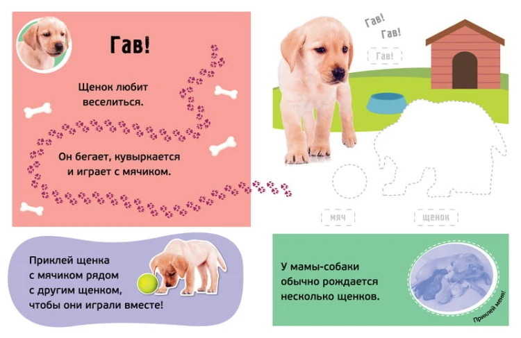Гав! Детёныши