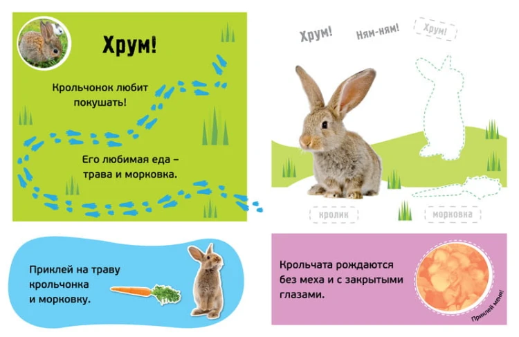 Гав! Детёныши