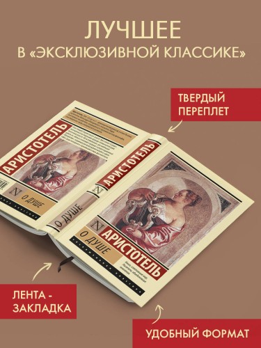 О душе