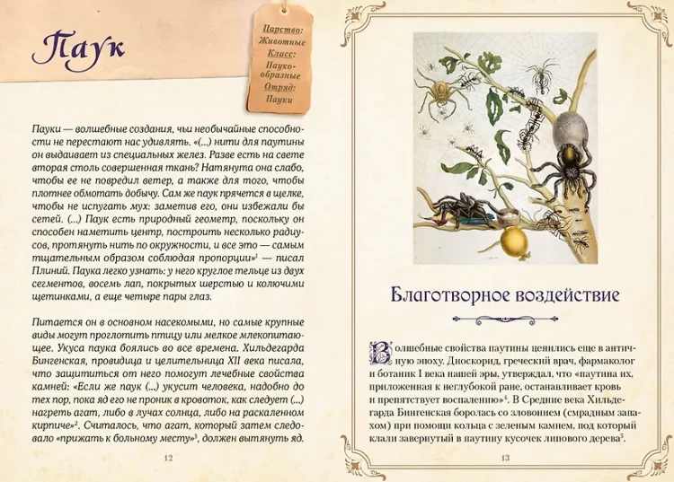 Магические животные. Легенды и суеверия