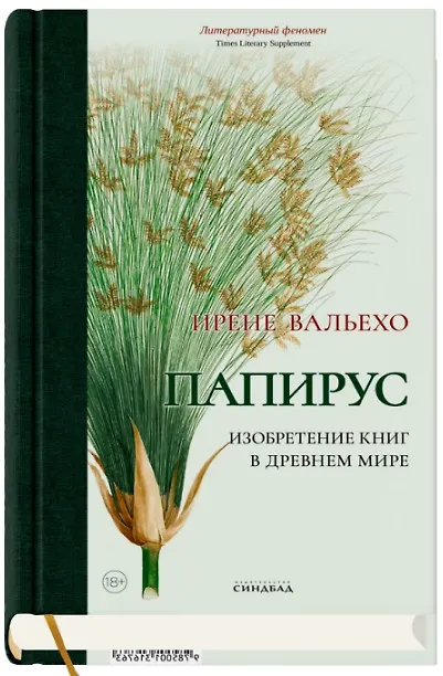 4.webp