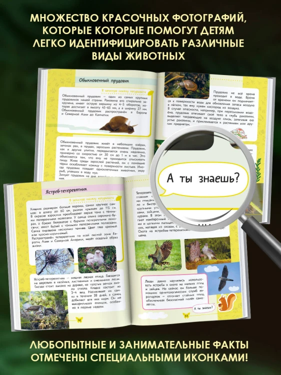 Окружающий мир. Животные