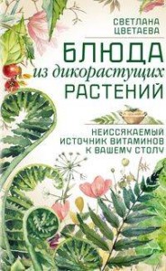 Блюда из дикорастущих растений. Неиссякаемый источник витаминов к вашему столу