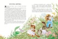 Питер-кролик и другие (ил. Хуамен Студио)