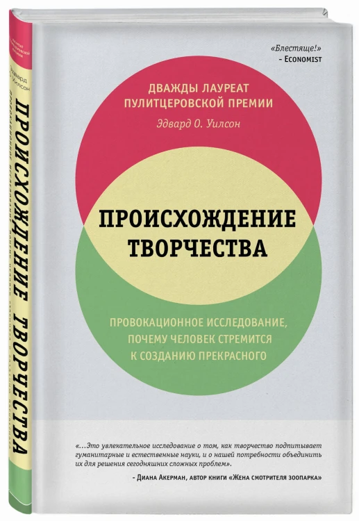 Происхождение творчества. Провокационное исследование, почему человек стремится к созданию прекрасного
