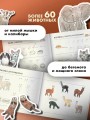 Школа рисования для начинающих: милые животные