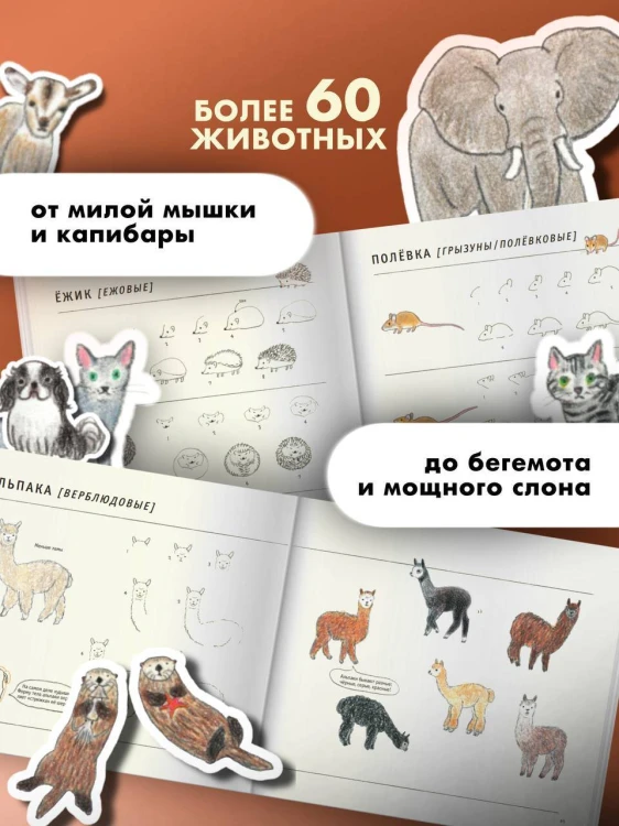 Школа рисования для начинающих: милые животные
