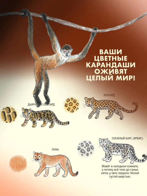 Школа рисования для начинающих: милые животные