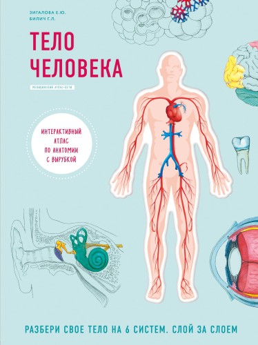 Тело человека. Интерактивный атлас по анатомии с вырубкой. Разбери свое тело на 6 систем. Слой за слоем