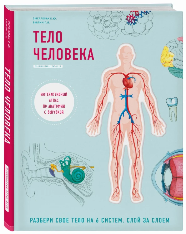 Тело человека. Интерактивный атлас по анатомии с вырубкой. Разбери свое тело на 6 систем. Слой за слоем