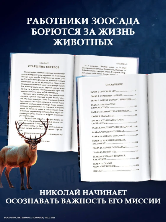 Красавица
