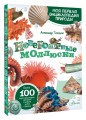 Невероятные моллюски