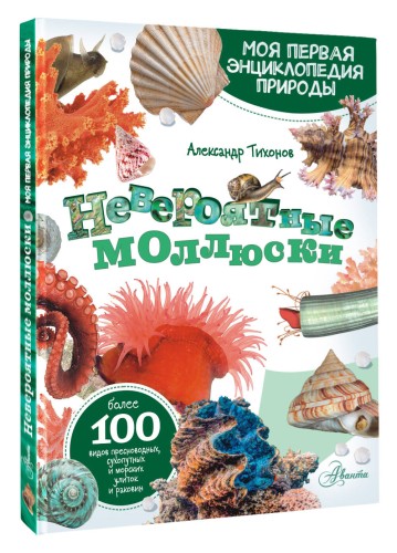 Невероятные моллюски