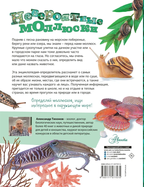 Невероятные моллюски