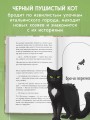 Кот с семью именами. Счастье приходит к тому, кто верит в чудеса