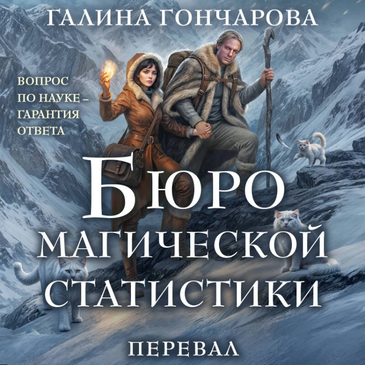Бюро магической статистики. Перевал