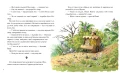 Шумківський чугайстер (Кіт-лікар #3)
