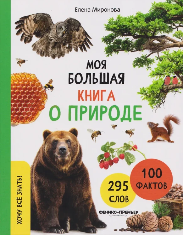 8.webp