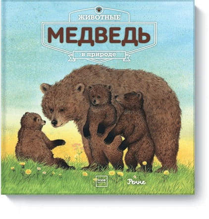 Животные в природе. Медведь
