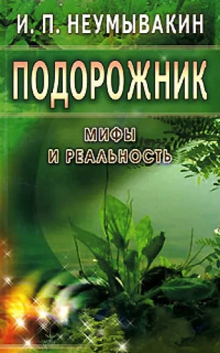8.webp