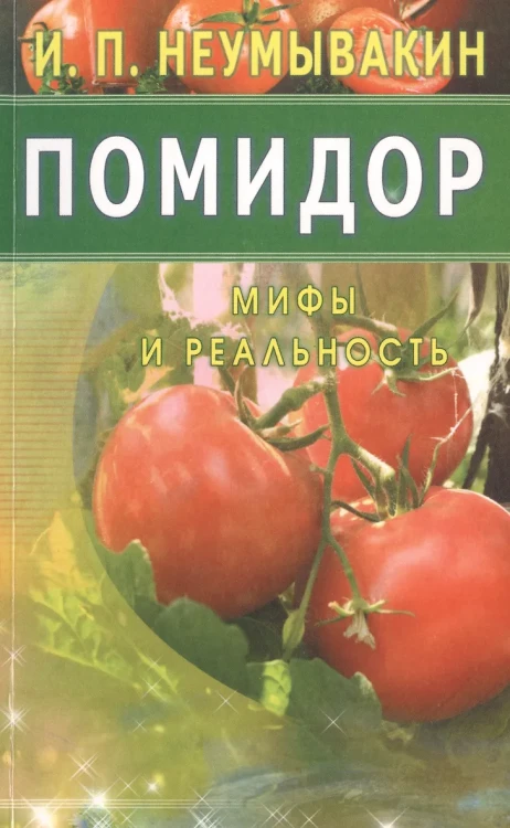 8.webp